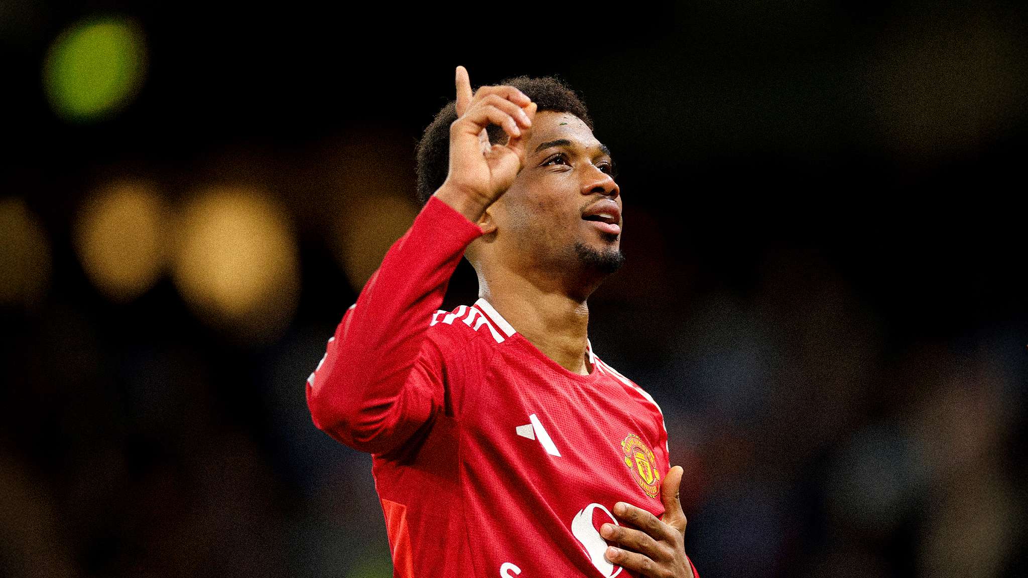 的未来展望 的未来展望