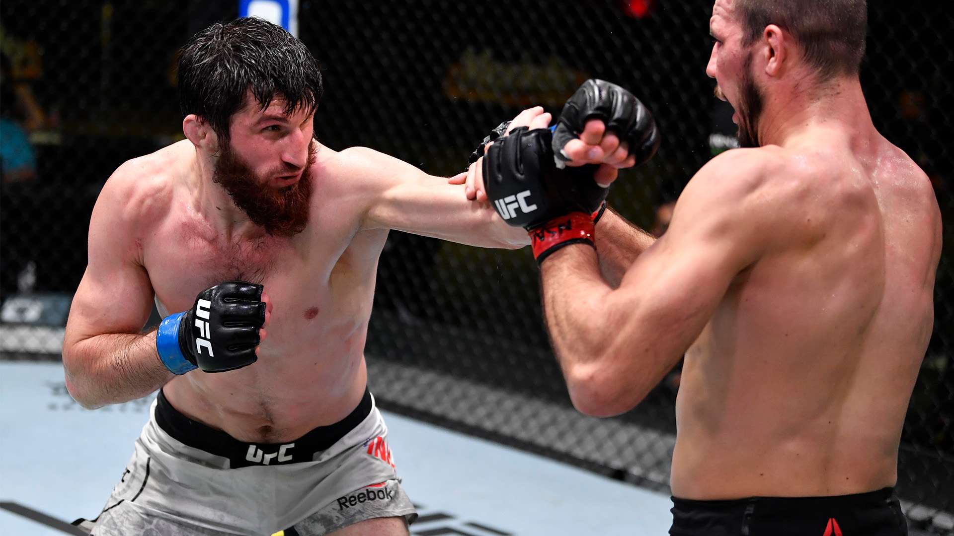 了全场的攻 了全场的攻